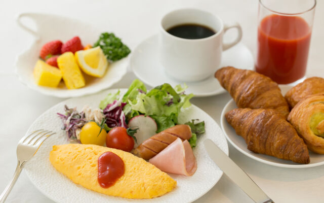 Fukuyama New Castle Hotel