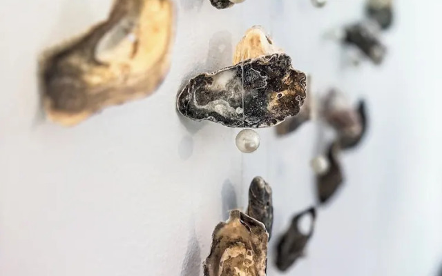 Room-luxurious Lodge Room 2