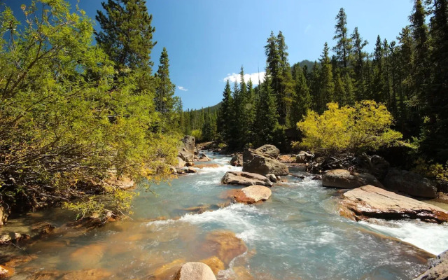 Settlers Creek 6522