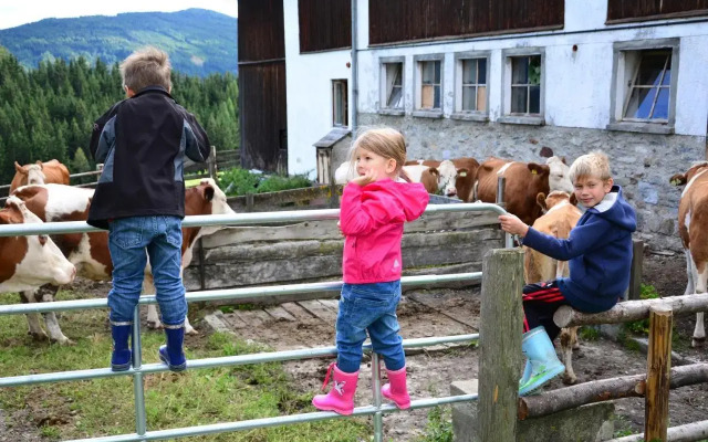 Ferienwohnung Bachergut