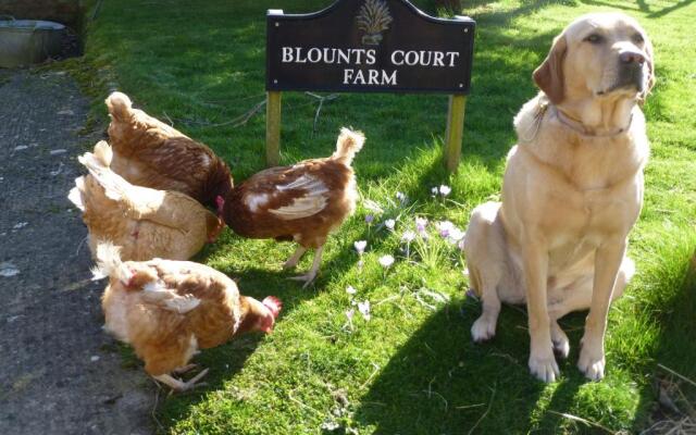 Blounts Court Farm