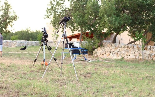 Tenuta Tedone Consolini