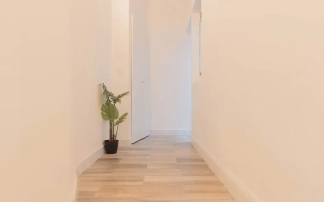 FLIPHAUS Mansion Paz