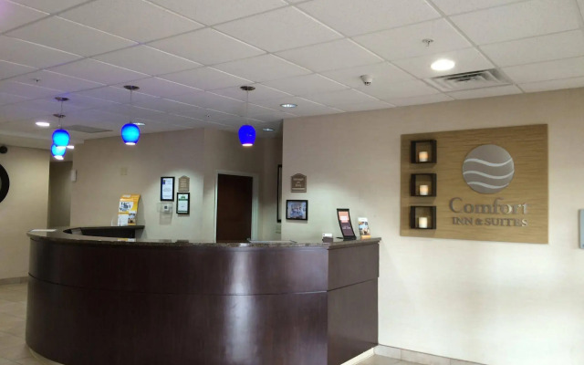 Comfort Inn & Suites Porter near Indiana Dunes