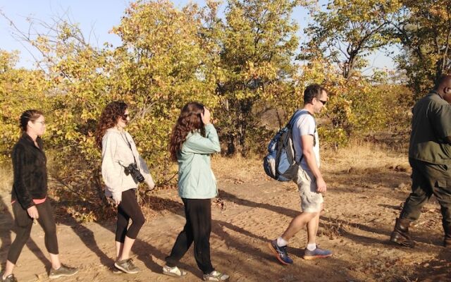 Buffalo Tented Lodge