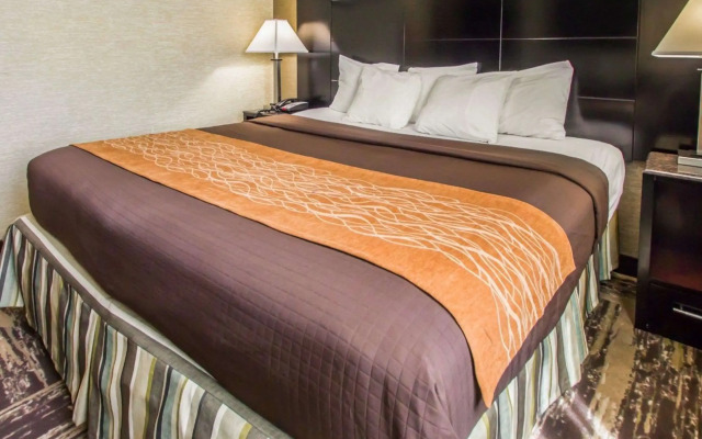 Rodeway Inn Bronx Zoo