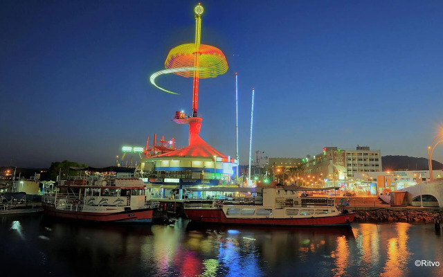 Brown Eilat