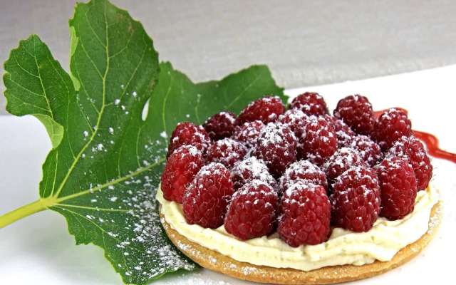 Hôtel le Chêne Vert