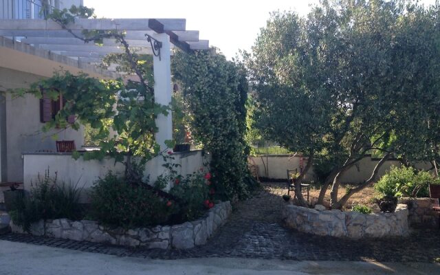 Apartments Ivana Murter