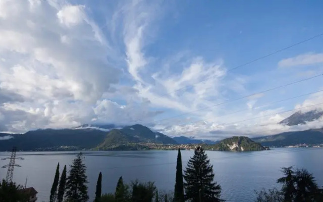 Veggie & Garden Bio Apt