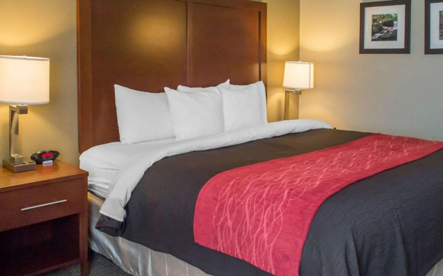 Comfort Inn Mayfield Heights Cleveland East