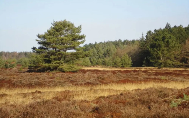 Time out Zu2! Modern Retreat