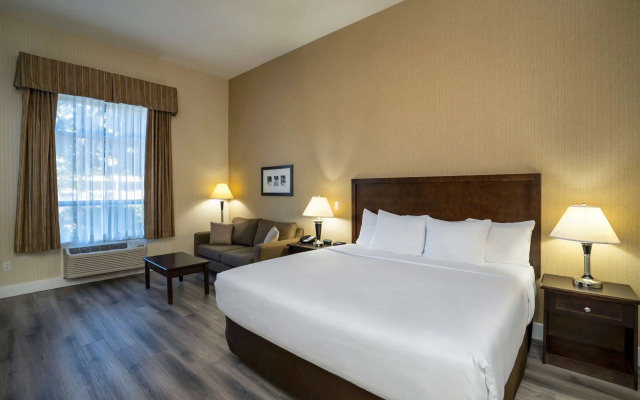 Comfort Inn Surrey Hotel