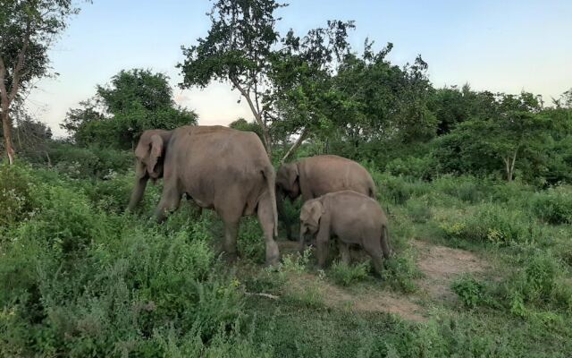 Elephant Lodge