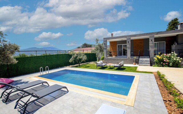Villa With Private Pool Surrounded by Olive Trees