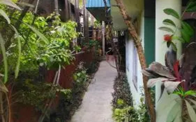 Debojani Ashralaya Travellers Hostel by OK North East