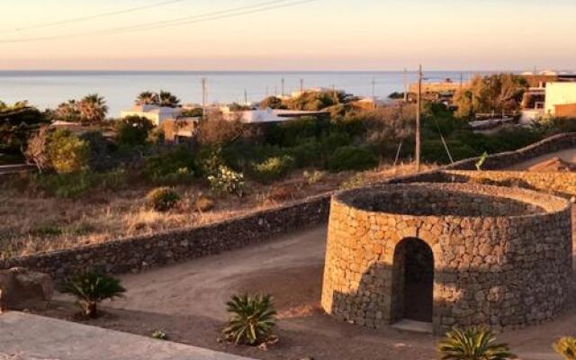 Dammusi Gold - Raffy