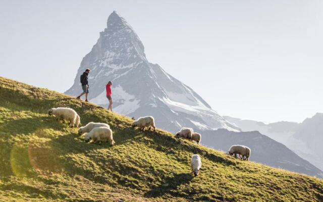 Chalet Zermatt Peak