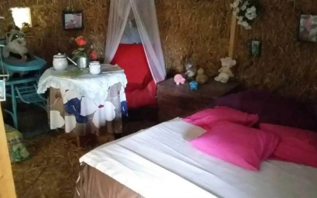 Insolites du Bonheur de Vivre