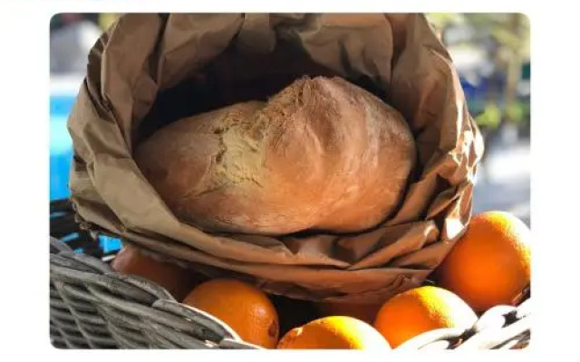 Casa Rico Frade Garden