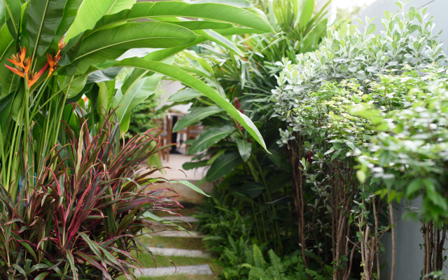 Costa Village Bangsaray