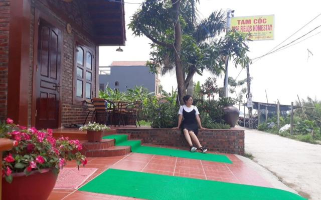 Tam Coc Rice Fields Homestay