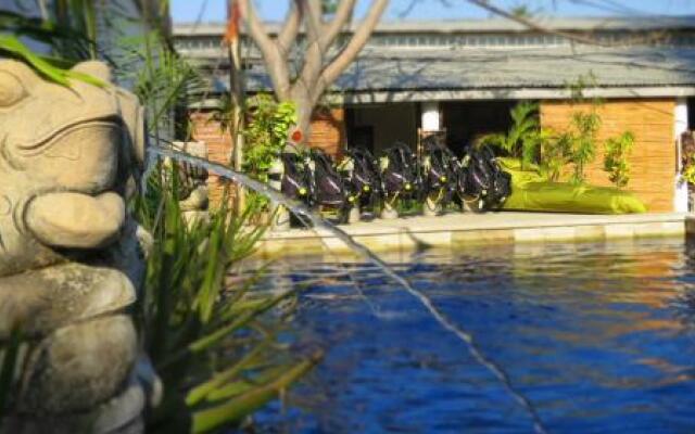 Timor Backpackers