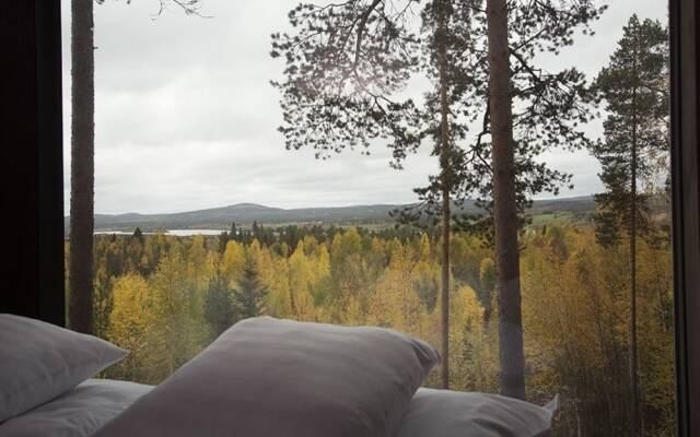 Tree Hotel