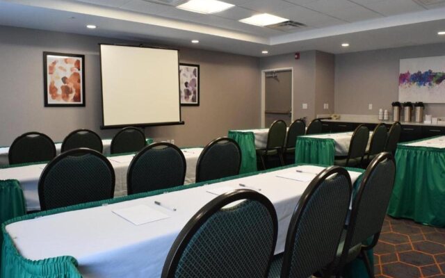 Hampton Inn Buffalo-Hamburg