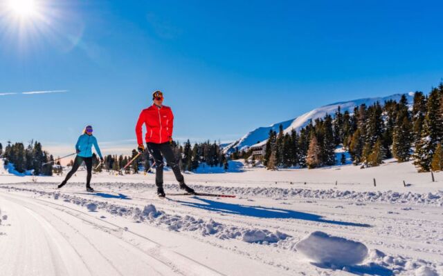 ATH Alpenpark Turrach, Zirbenwald III_16