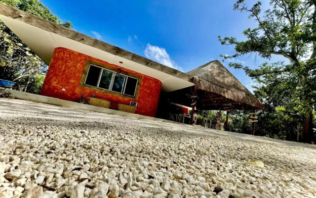 Hotel Tequila Cancun