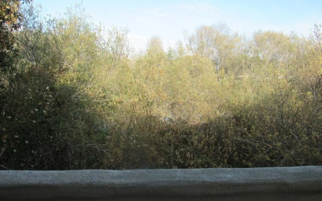 Pacific Plaza Resort