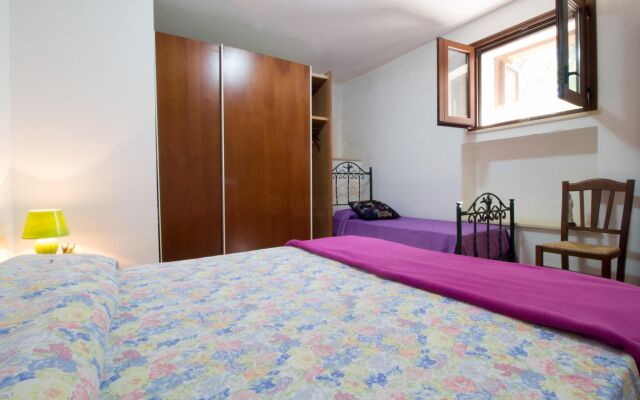 Pino Amazing Seaview