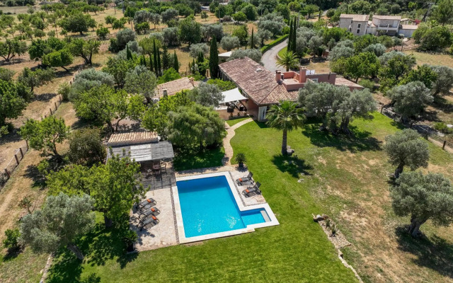 Selva - 3890, Mallorca