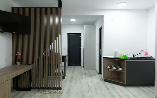 Frasin Studios-6 km to Voronet Monastery