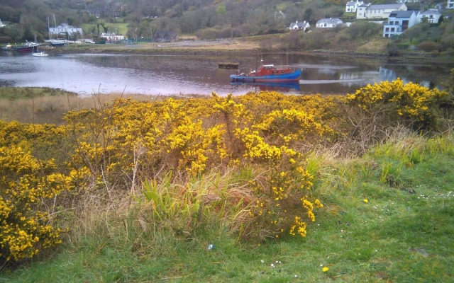 Clifden Town Hostel