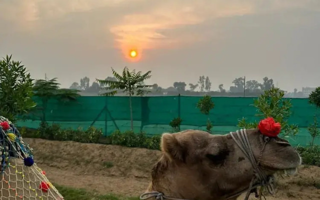 The Ashoka Farms & Resort
