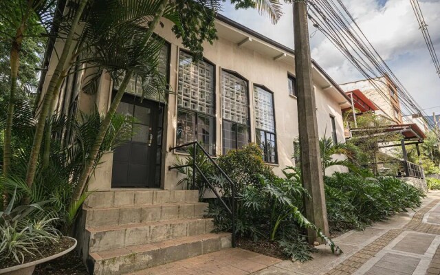 HOLT - Astorga Gardens - The African