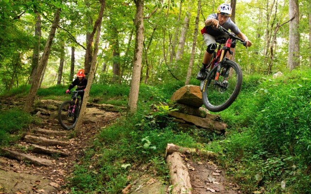 The Brownstone - 1 Block From Dtwn Square