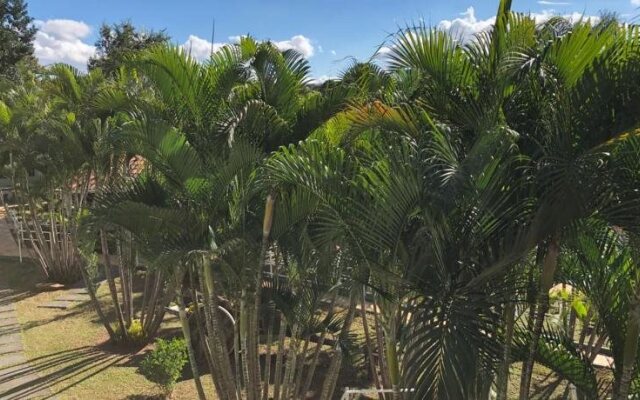 Hotel Gran Minas