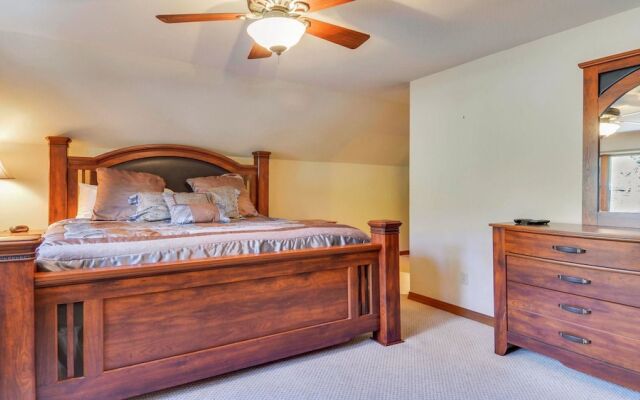 Conifer 9