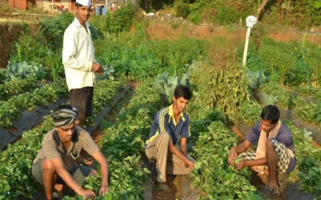 Govind Niwas Agro Tourism