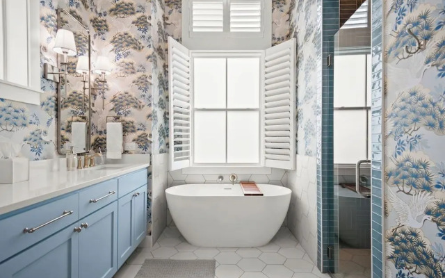 Ocean Paradise 245 DEW