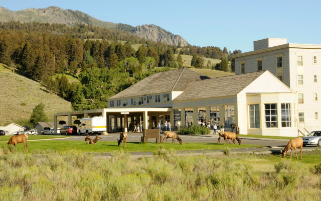 Mammoth Hot Springs & Cabins - Inside the Park