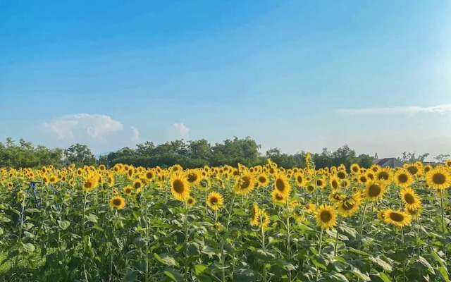 Thanh Chiem Village