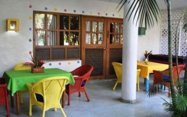Cabarete Surf Camp
