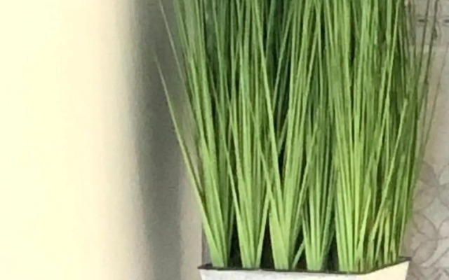 VIP Apartment in a new building in the center