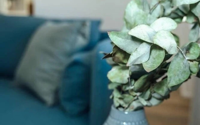 Sahara on Anzac-Close to Airport, city & beach!