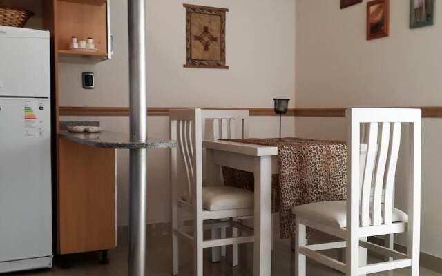 Downtown Mendoza Apartment