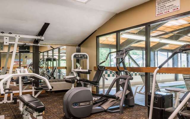 Comfort Inn Pine Grove I-81 Hershey Area